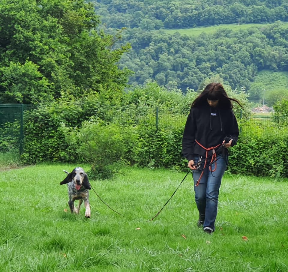 Complicidad entre dueño y perro