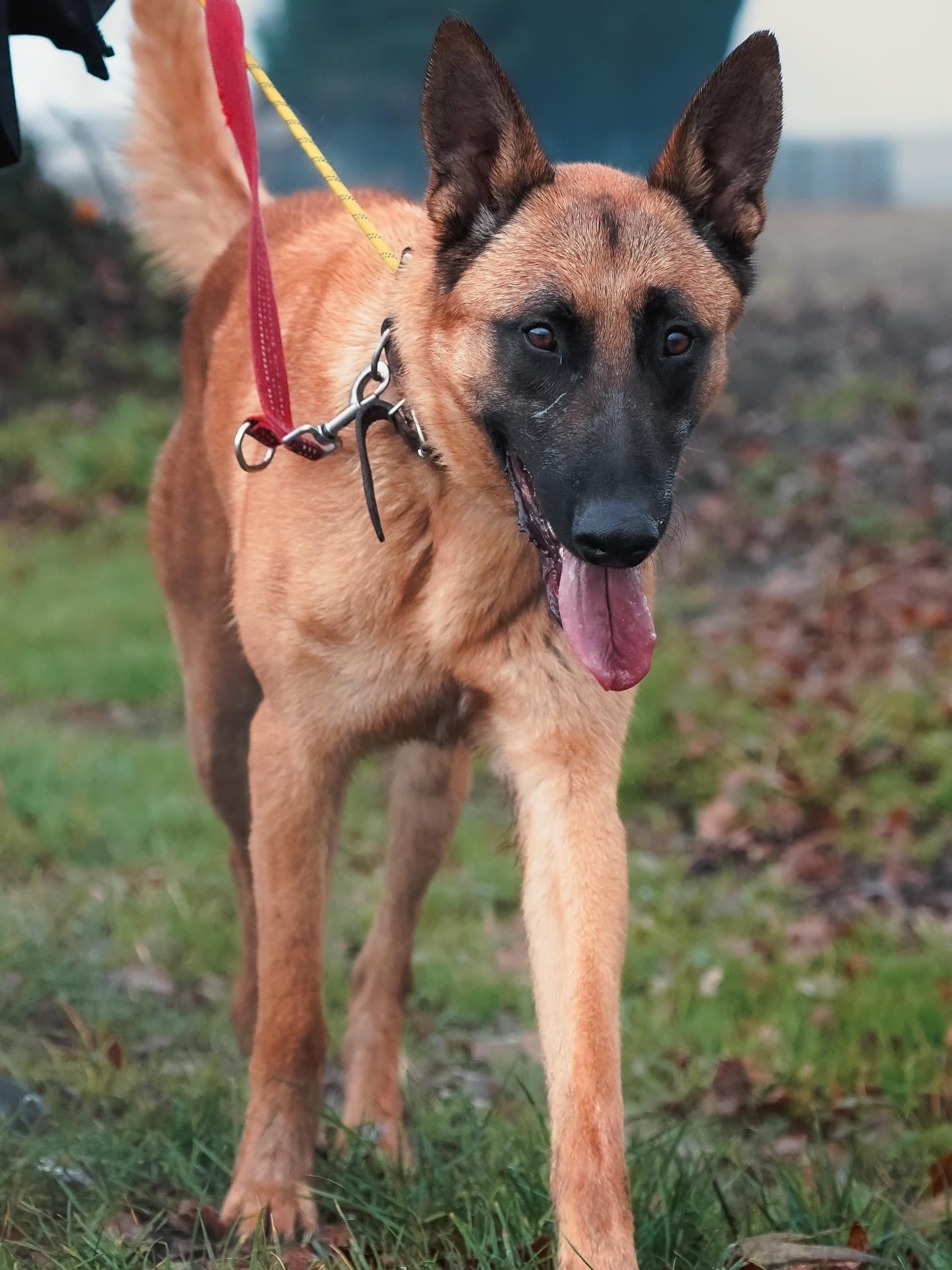 Modificación de Conducta